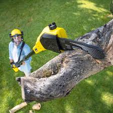 Lawn Irrigation Installation and Maintenance in Canon, GA