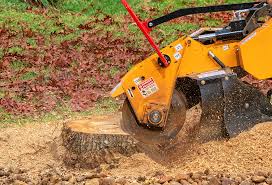 Best Utility Line Clearance  in Canon, GA